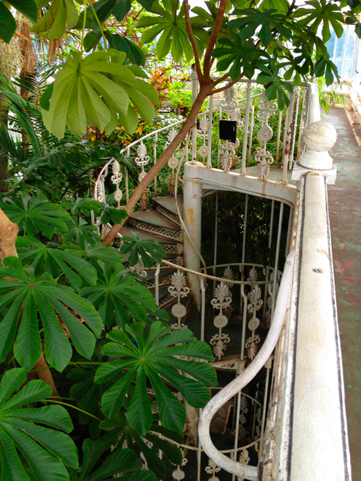Royal Botanic Gardens, Kew