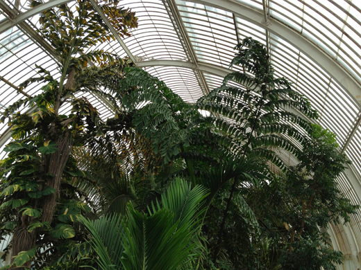 Royal Botanic Gardens, Kew