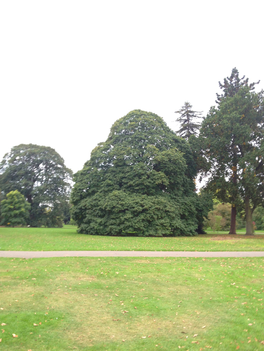 Royal Botanic Gardens, Kew