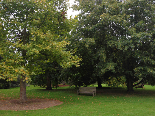 Royal Botanic Gardens, Kew