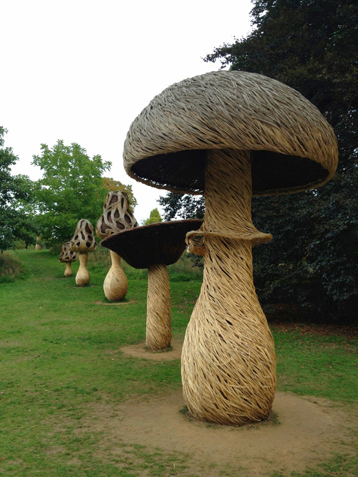 Royal Botanic Gardens, Kew