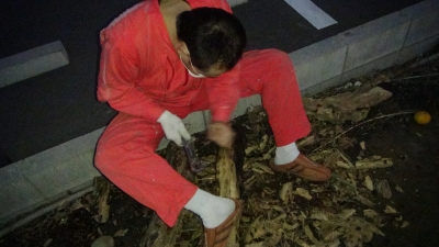 採取2