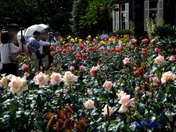 洋館側の、南西方向のバラ園に面した花壇