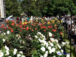 洋館側の、南西方向のバラ園に面した花壇