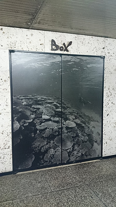 Box