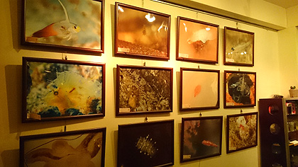 写真展