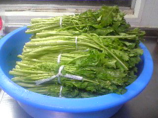 080307_2338~01_0002.jpg