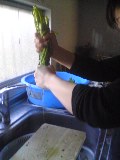 080308_1114~02.jpg