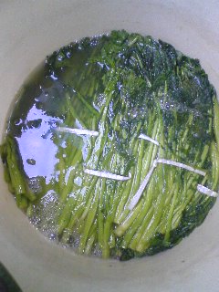080309_0938~01.jpg