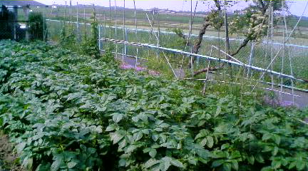 090513_1516~01_0001.jpg