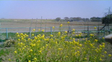 110415_1124~02_0001.jpg