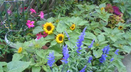 110625_0936~01_0001.jpg
