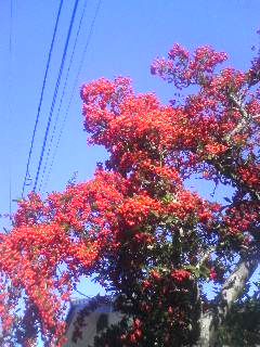 111213_1134~01.jpg