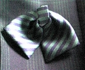 DVC00028.JPG
