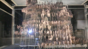 2010101500050000.jpg