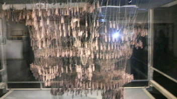 2010101500050001.jpg
