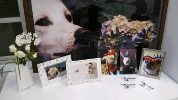 2011030619080000.jpg