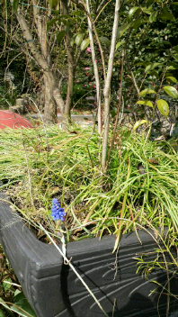 2011030811210000.jpg