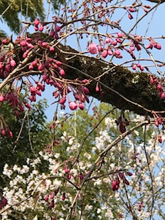 IMG_6395.jpg