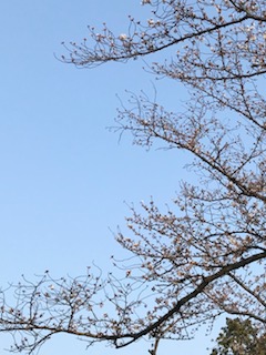 IMG_6429.jpg