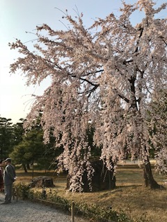 IMG_6425.jpg