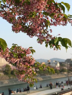 IMG_6440.jpg