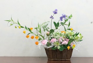 IMG_6747.jpg