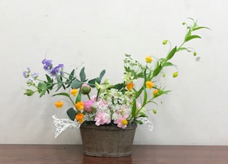 IMG_6749.jpg