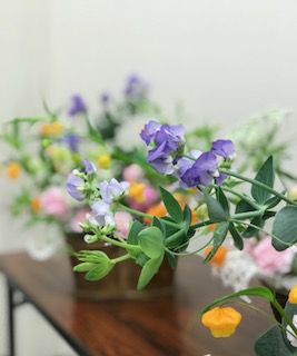 IMG_6757.jpg