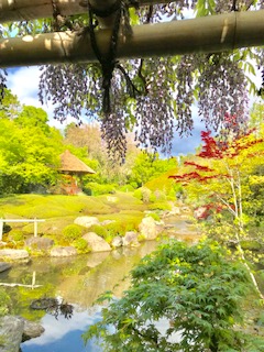 IMG_6845.jpg