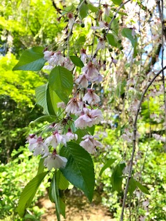 IMG_6874.jpg