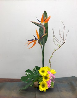 IMG_7168.jpg