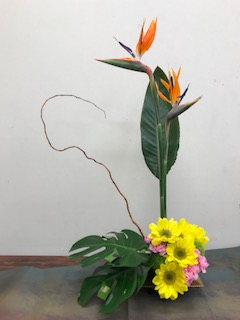 IMG_7166.jpg