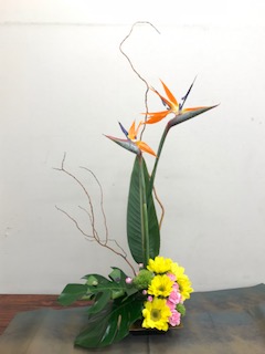 IMG_7172.jpg