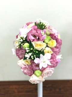 IMG_8134.jpg