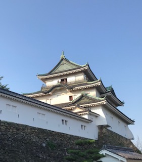 IMG_8979.jpg