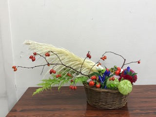 20180911_1983083.jpg