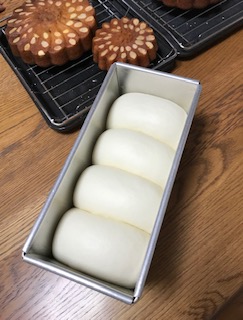 20181017_2000877.jpg