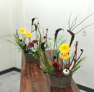 20181023_2003597.jpg