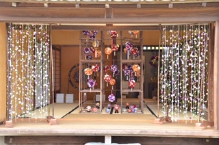 20181108_2012439.jpg