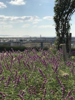 20181126_2021774.jpg