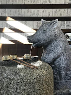 20190104_2039022.jpg