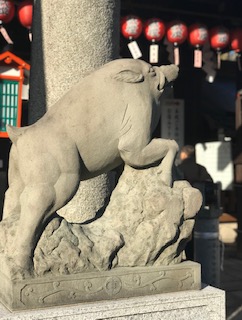 20190104_2039042.jpg