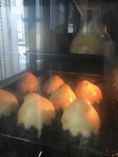 20191015_2159107.jpg