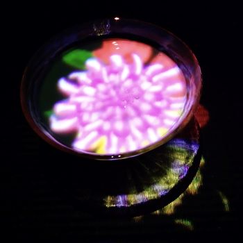 幻花亭