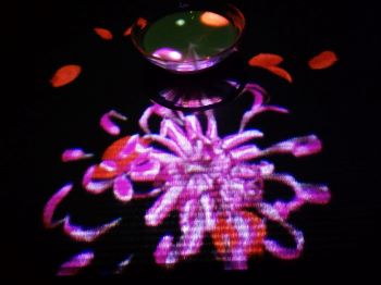 幻花亭