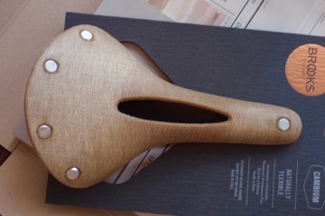 c17 carved cambium