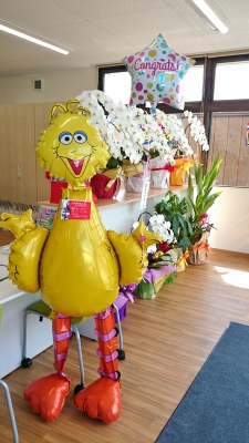 開店祝いバルーン ビッグバードバルーン