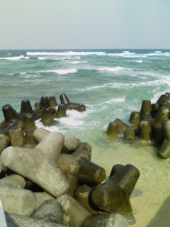 080324_1002~02.JPG