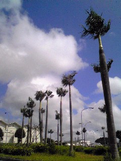 SH340368_Ed.JPG